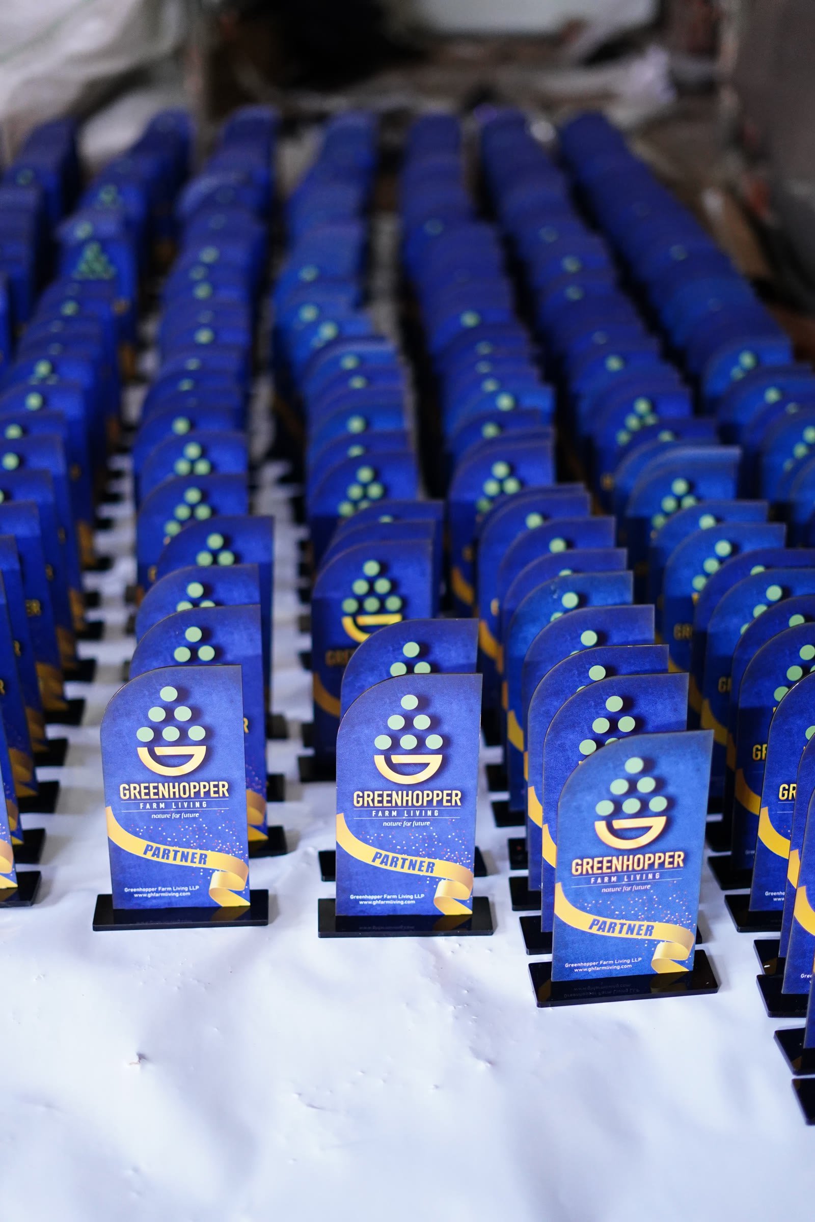 A large coordinated line-up of blue event awards